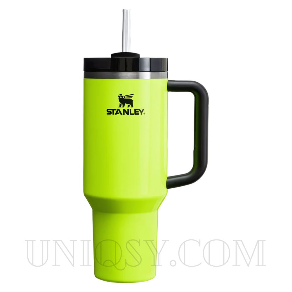Stanley 40 OZ Tumbler Cup with Handle and Straw - Stainless Steel 1.1L